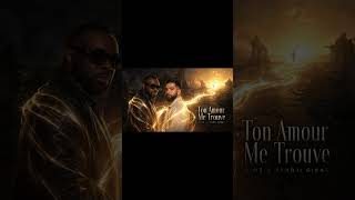Gims ft Kendji Girac - Ton Amour Me Trouve (Official AI Lyrics Video)