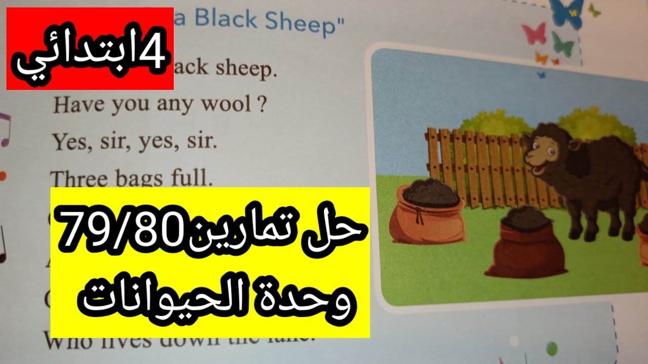 الإنجليزية الرابعة ابتدائي حل تمارين الكتاب المدرسي79/80