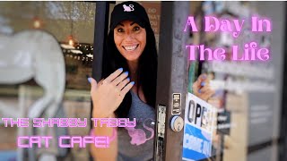 A Day In The Life Running A Cat Cafe Follow Us Around As We Handle Our Daily Tasks