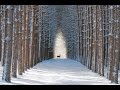 Зимние пейзажи Первый снег в лесу Таинство зимней природы в фотографии Magic Forest Photo (HD)
