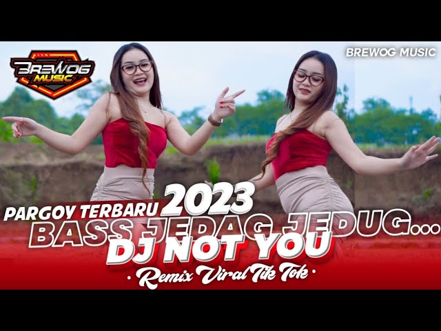DJ VIRAL TIK TOK TERBARU 2023 - DJ NOT YOU FULL BASS JEDAG JEDUG class=