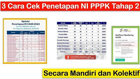 3 Cara Cek Penetapan NI PPPK Tahap 2 Secara Mandiri dan Kolektif ~ Penentu Segera Penyerahan SK PPPK