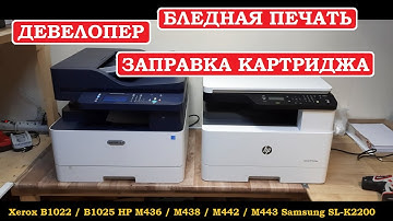 Xerox B1025 / HP M438 Девелопер. Заправка. Бледная печать