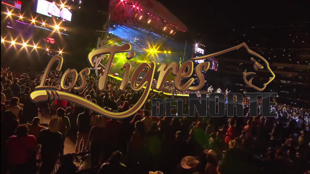 🐅🇲🇽🇨🇴 ¡Los Tigres Del Norte En Colombia!🐅🇲🇽🇨🇴 - Canal Mi Gente canales