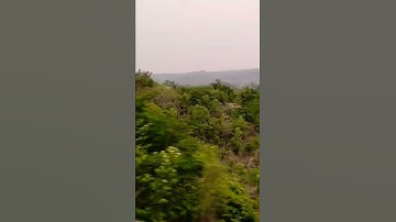#STORYSTATUS Best 💯 Video And Beautiful🌲 Forest🌲 Video Of Gajhandi Koderma Ghati.
