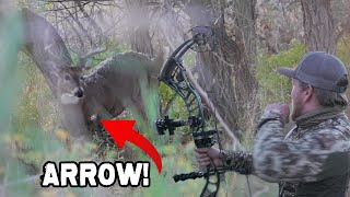 RANCH FAIRY was RIGHT!! | Bow Hunting from the Ground, Public Land Deer