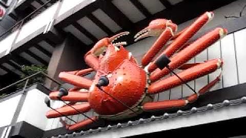 Japanese Robo Crab