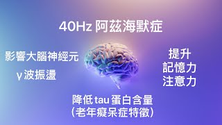 『40Hz記憶力、專注力』：40赫茲置入。γ波振盪似乎會導致海馬體中澱粉樣蛋白的減少，這可能是因為海馬體更靠近聽覺皮層而不是視覺皮層。。降低了tau蛋白的含量，而tau蛋白是老年癡呆症的另一個特徵。