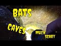 Bats, Caves, Sinkholes And  DANGER!