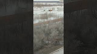 Наводнение в Оренбурге.ожидаем подъема воды ещё на 1,5 метра.