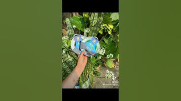 Dây Cước 100m Trục Và Thẻo Săn Hàng TẦM LONG 100m