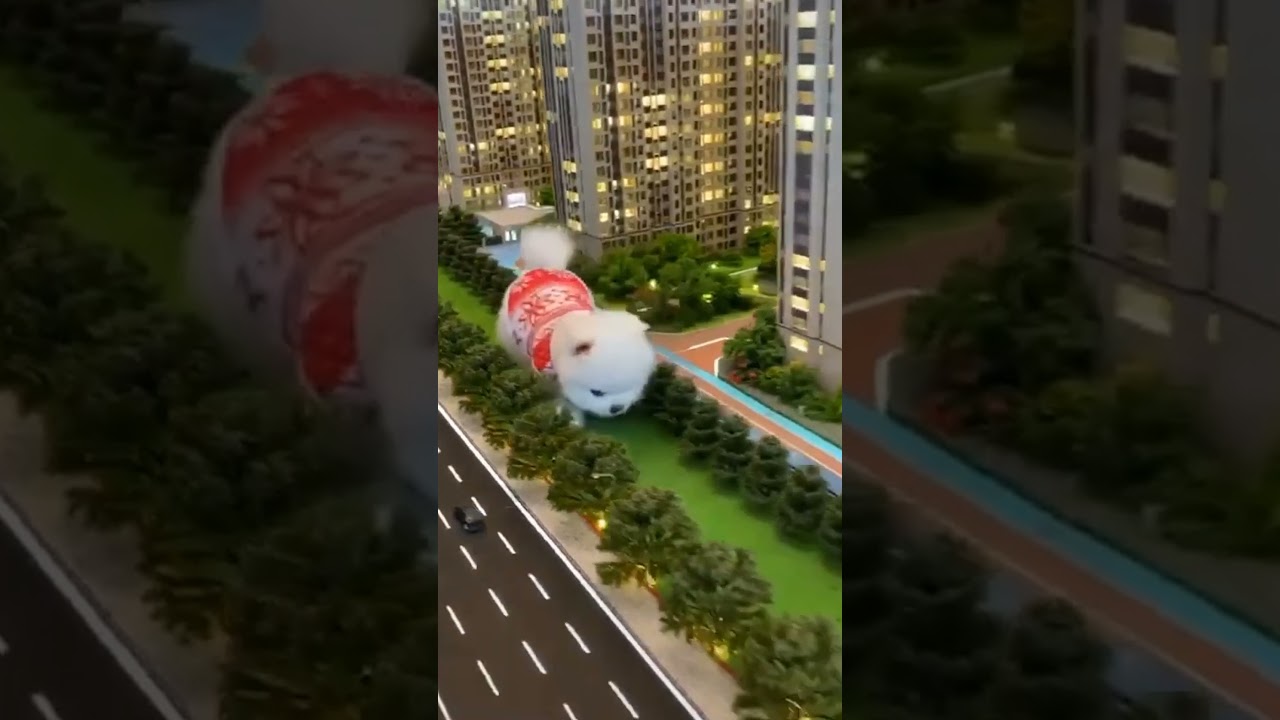 Cute Dogs Videos: cute dog walking - Cuteness Overload 