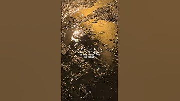 تلاوة من سورة النساء للقارئ ياسر الدوسري #quran#حصن_المسلم#راحة_نفسية#عاجل#آيات#سوره_النساء#الحمدلله