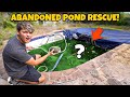 Saving FISH & TURTLES from ABANDONED BackYard POOL!!