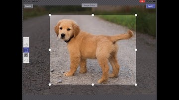 Explain Everything: Working with Images