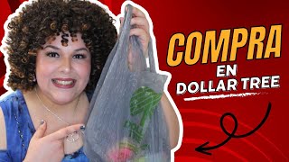 Mi compra en Dollar Tree #minihaul