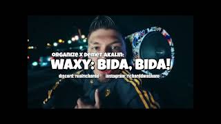 Organi̇ze X Demet Akalin -