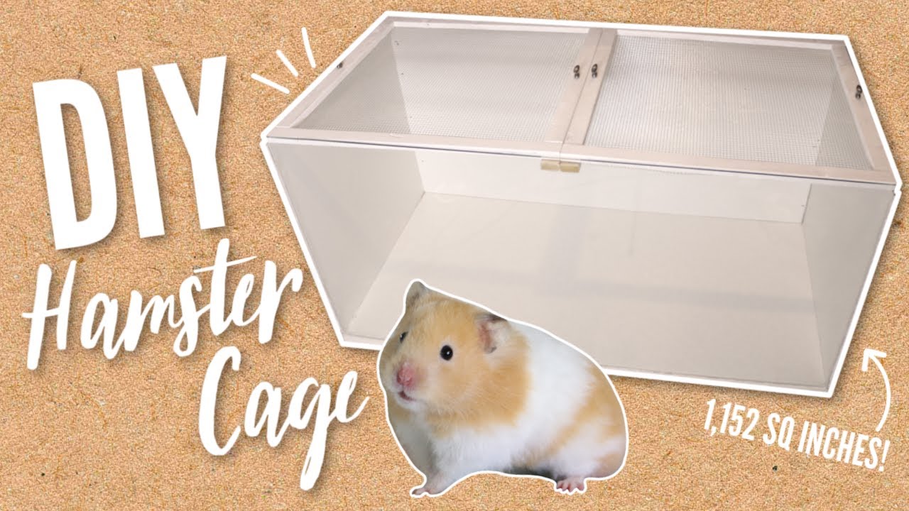 Building a NEW DIY Hamster cage - YouTube