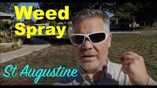 Weed Killer For St Augustine Grass