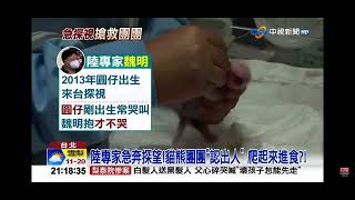 2022-11-02中視2100整點新聞-陸專家急奔探望!貓熊團團＂認出人＂爬出來進食!