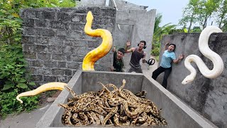 Brave soldiers used high-tech snake detectors to locate the giant python's nest.