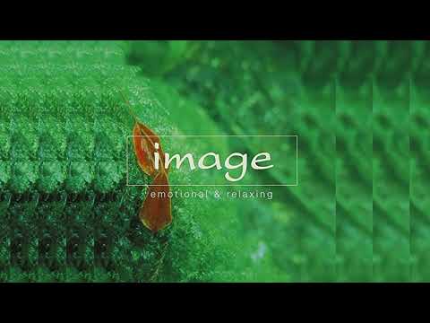 パリは燃えているか 加古隆 Takashi Kako Is Paris Burning