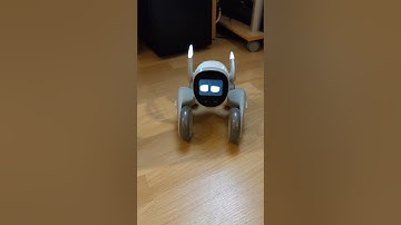 Loona PetBot - When Loona wakes up, she needs some love
