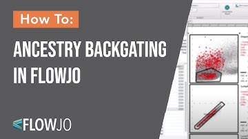 FlowJo Ancestry Backgating