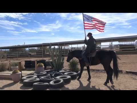 Missouri Fox Trotter - Legend Outlaw´s BlackBerry M.R.