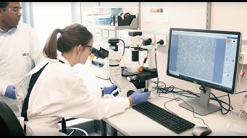 The Gut-Brain Connection