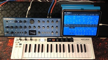 Modal COBALT 8M - Extended Virtual Analogue Synthesizer Module - Let’s Take a Tour