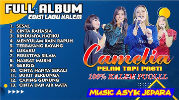 DANGDUT PALING KALEM SEPANJANG MASA - CAMELIA 12 -SESAL SELLY PRAWOTO FT RINDUNYA HATIKU