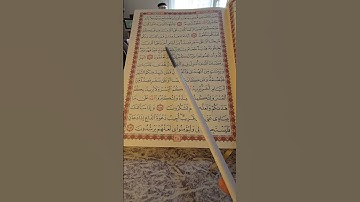 الآيات (182-186) من سورة البقرة | القارئ محمد المثيل #قرآن #تعليم #تلاوة #kuran #المثيل #محمد_المثيل