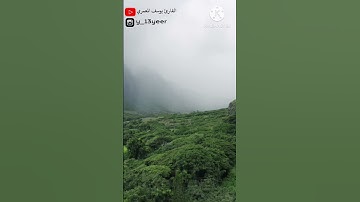 سورة الإخلاص القارئ يوسف المعمري