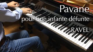 Ravel - Pavane pour une infante défunte - pianomaedaful