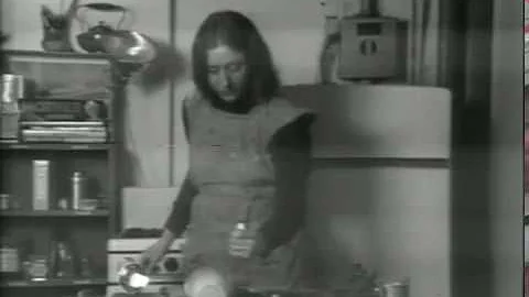 Martha Rosler - Semiotics of the Kitchen  1975