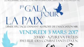 Gala de la Paix-D1730