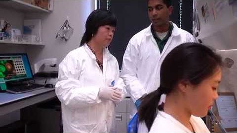 Everyday Remarkable: Behind the Scenes with Research Scientist Jianhua Zhang, PhD