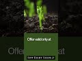 Save Big On Seeds!🌱