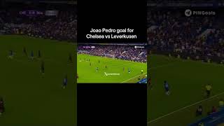 Joao Pedro Goal Vs Bayern Leverkusen  Friendly Matchhighlights