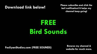 Free Birds Sound Effects | MP3 Download | FesliyanStudios