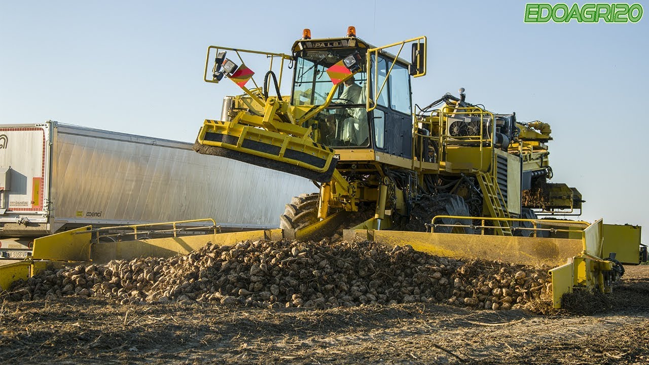 Ropa L 8.228 | Scania | Iveco | Sugar beets harvest | By Edoagri20