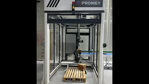 Automatic Palletizer Machine | Smart End-of-Line Packaging by Prodem