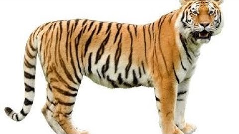 a trip i went on but in plotagon (VOLUME WARNING)