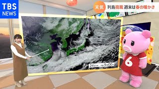 【2月25日関東の天気予報】関東 強い北風で体感ヒンヤリ