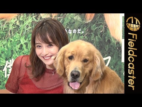 佐々木希 愛犬と登場 さらにamazonのcmで話題のあのワンちゃんも登場 映画 僕のワンダフル ライフ Youtube