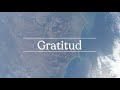Gratitud: La importancia de agradecer y asumir la necesidad del otro
