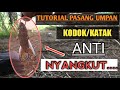 cara pasang umpan katak hidup anti nyangkut