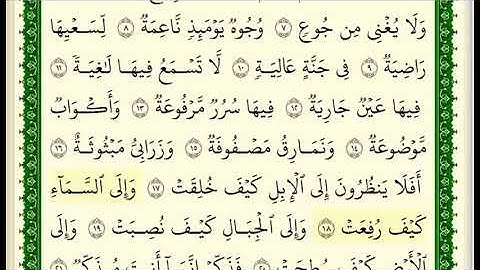 سورة الغاشية مكتوبة للشيخ صلاح بو خاطر