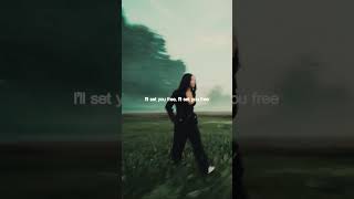 Wildflower With Insomniac Is Out Now Run It Uppp